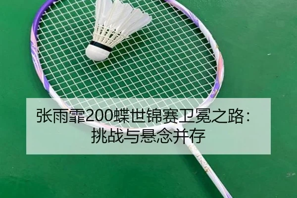 zhang-yu-fei-die-shi-jin-sai-wei-mian-zhi-lu-tiao-zhan-yu-xuan-nian-bing-cun-3-310.jpg