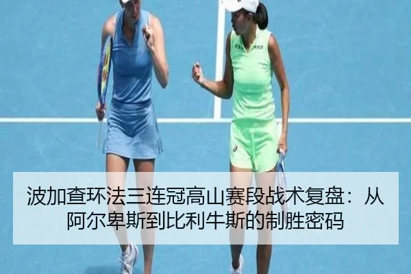 波加查环法三连冠高山赛段战术复盘：从阿尔卑斯到比利牛斯的制胜密码
