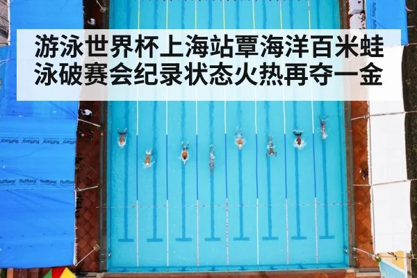 游泳世界杯上海站覃海洋百米蛙泳破赛会纪录状态火热再夺一金